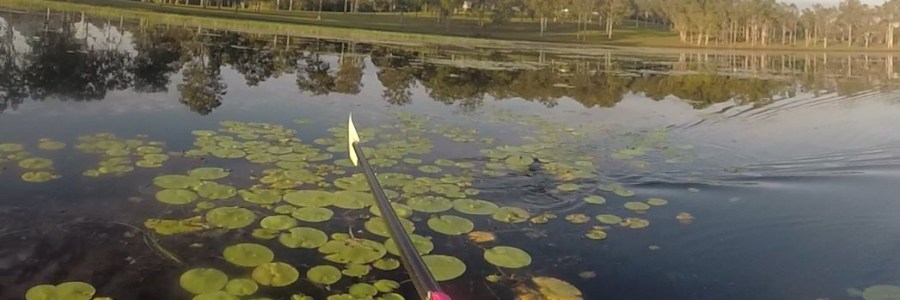 Rowing on Lake Macdonald