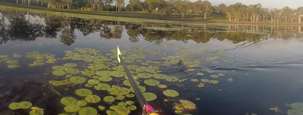 Rowing on Lake Macdonald